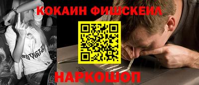 гидра Гатчина