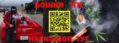 гидра Гатчина