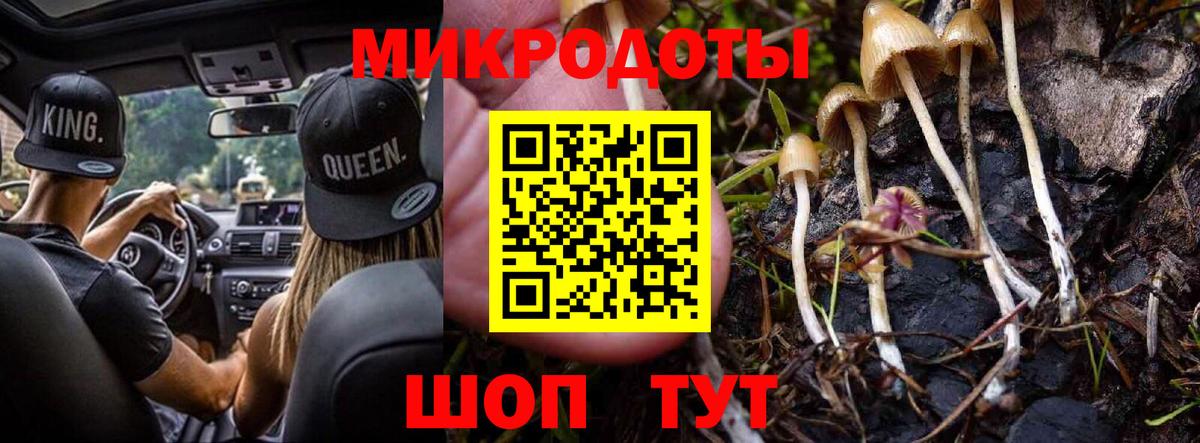 Псилоцибиновые грибы Magic Shrooms Чапаевск